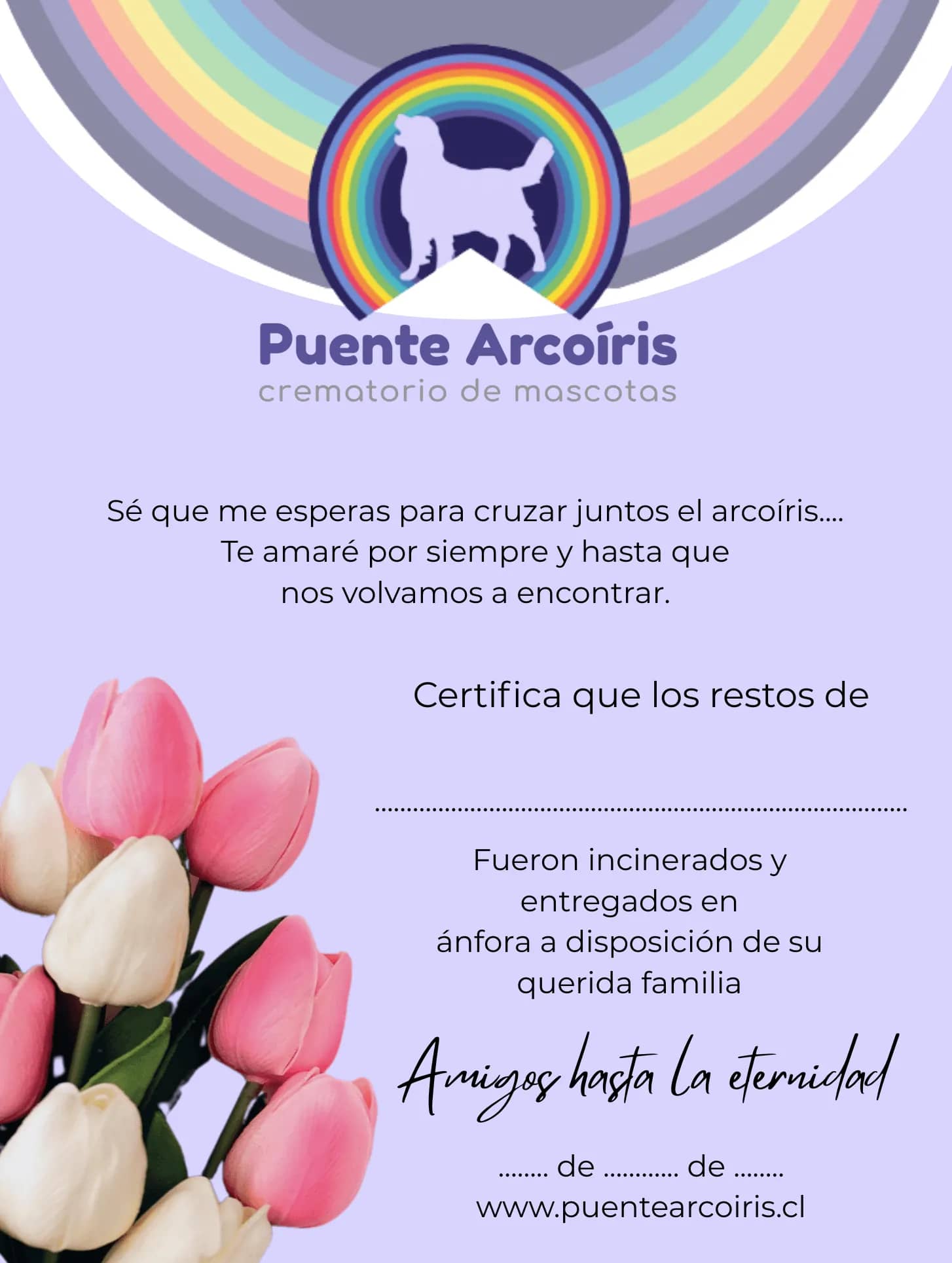 Certificado de Cremación