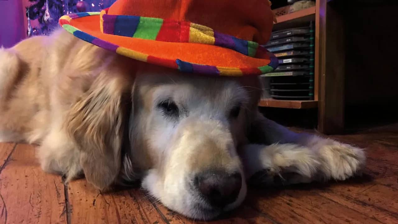 Nuestra querida Kelly