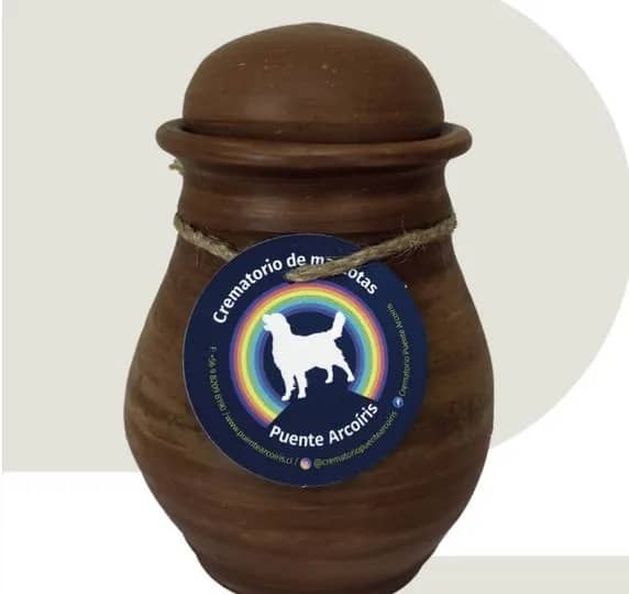 Cremación Individual